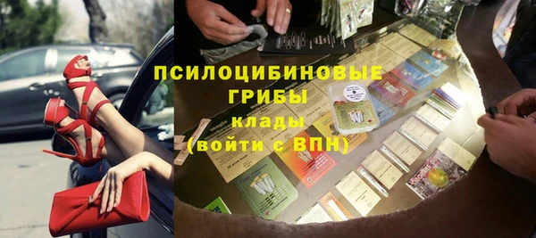 дурь Белокуриха