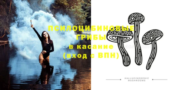 дурь Белокуриха