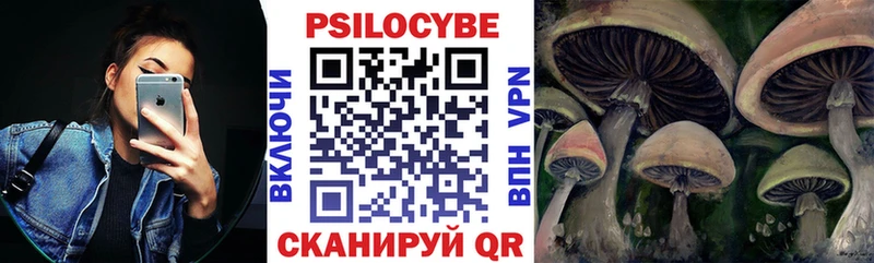 Псилоцибиновые грибы мицелий  Йошкар-Ола 